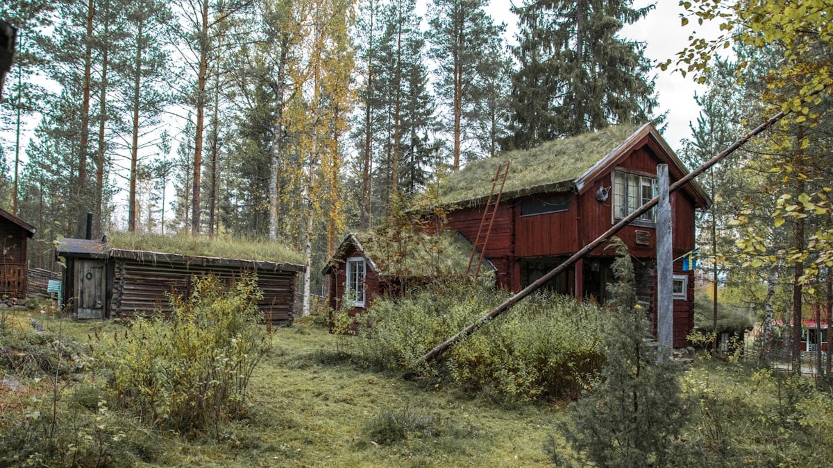 Kuidas alustada tervisliku eluviisiga?